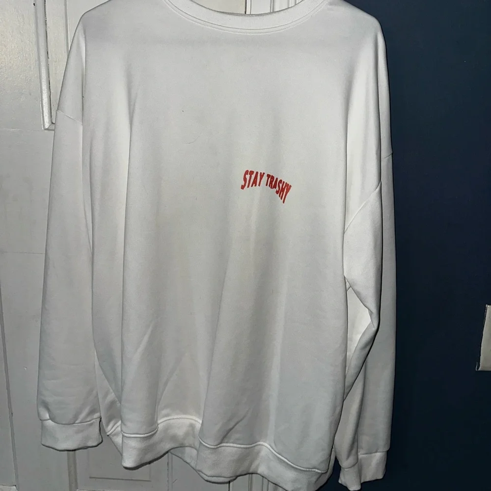 Stay Trashy Raccoon Graphic Sweatshirt - Picture 2 of 3
